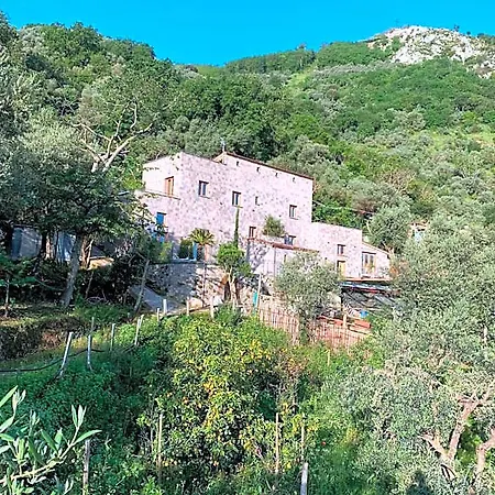Holidays Homes The Dream Apartahotel